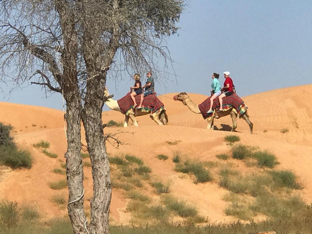The Dunes Camping & Safari Rak Ras al-Khaimah Exterior photo